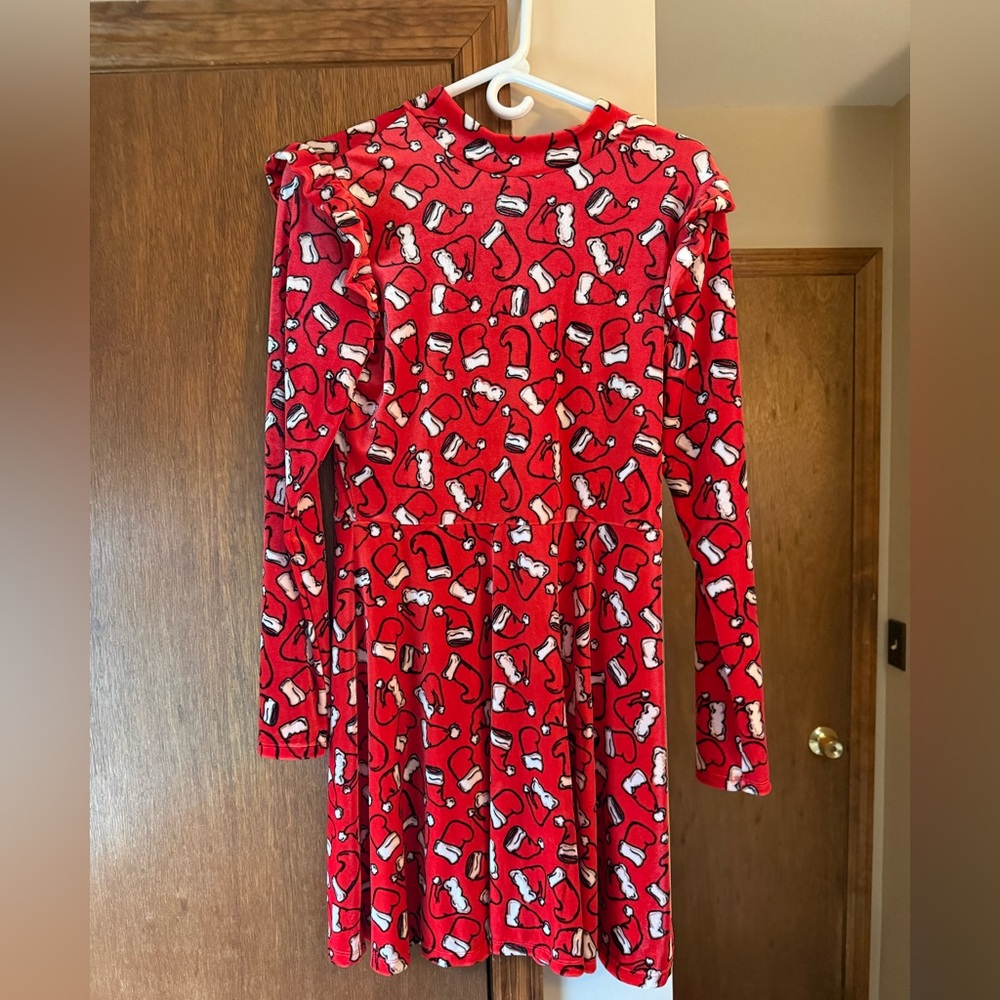 Santa Dress